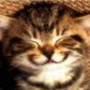 Meet your Posher, Kitty weber